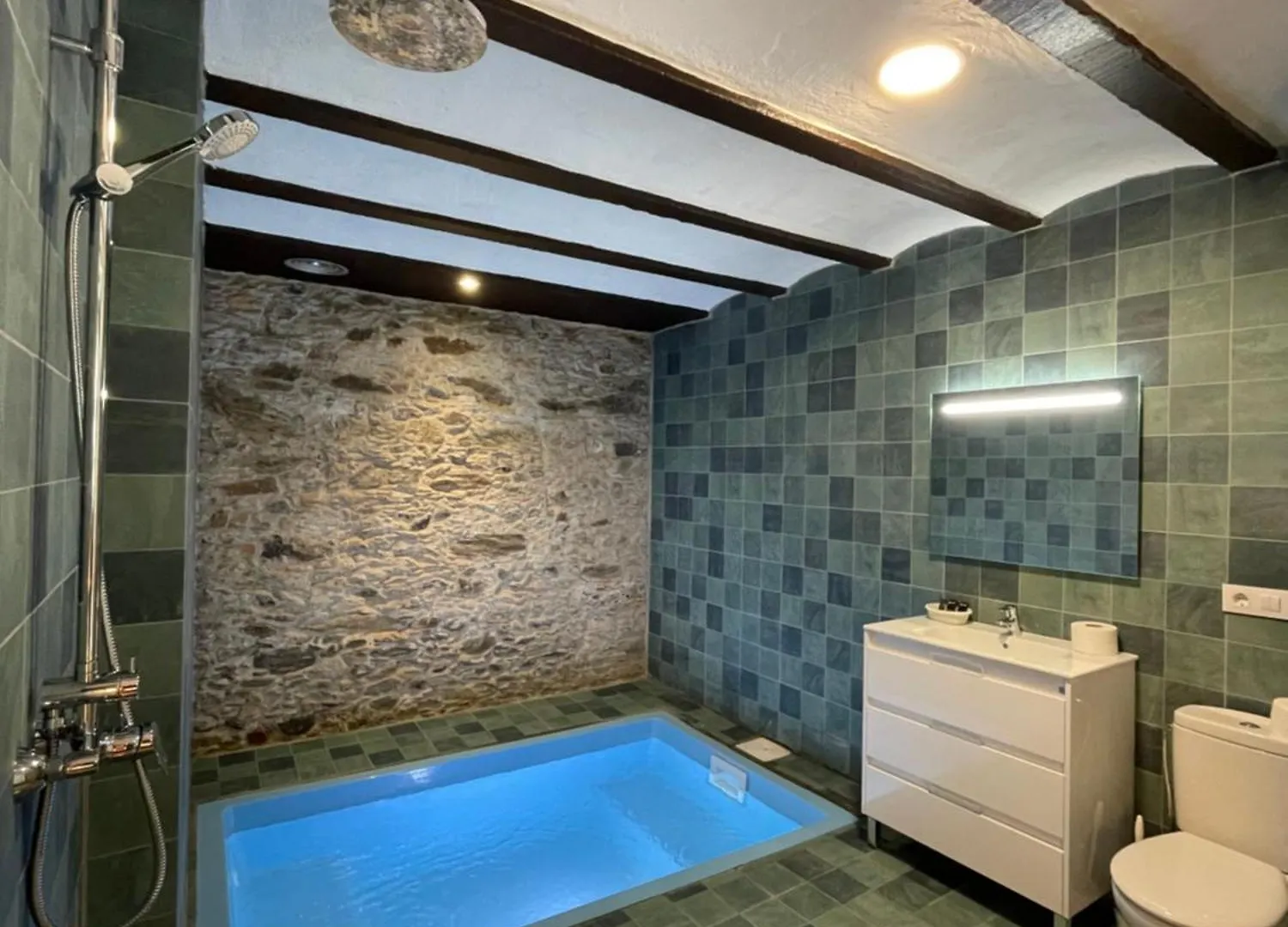 Hotel Mas Palou Rosas 3*,